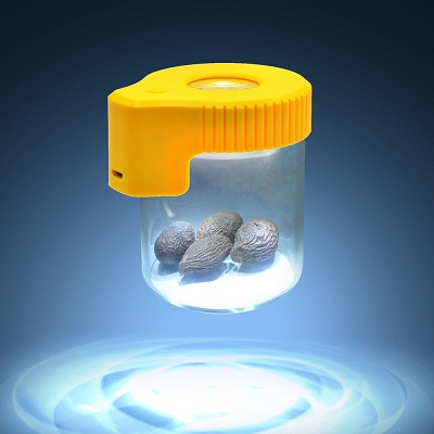 LED Glass Storage Jar With Magnifier 5X