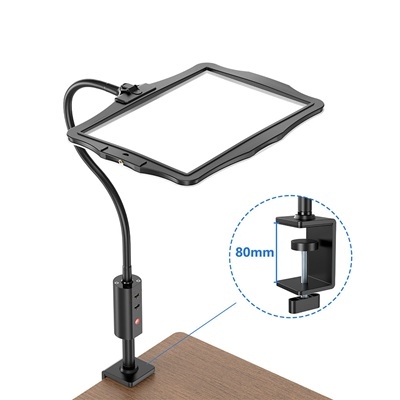 Clip Magnifying Glass 2X